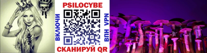 Псилоцибиновые грибы прущие грибы  это Telegram  Белозерск  закладки 